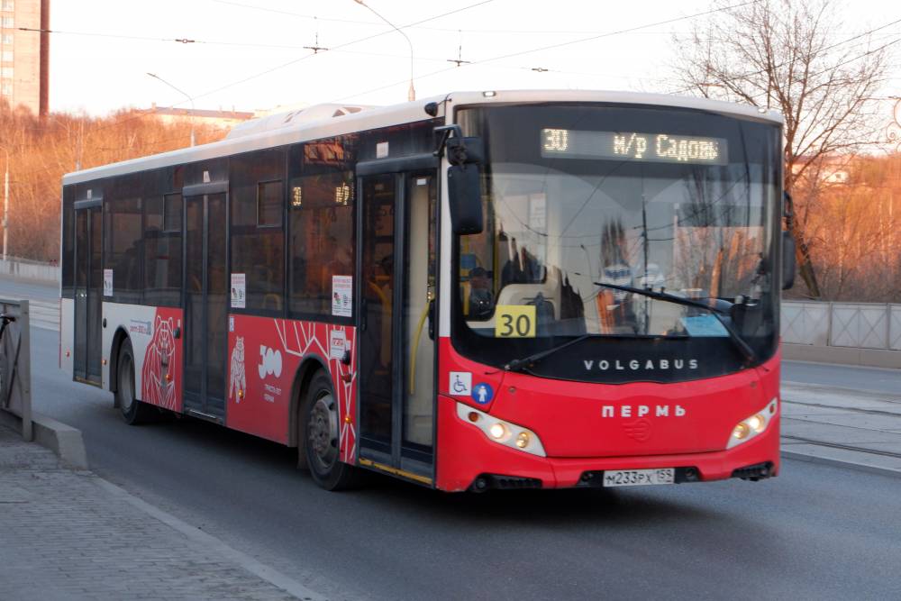 ​В Перми автобусных перевозчиков оштрафовали на 12,7 млн рублей