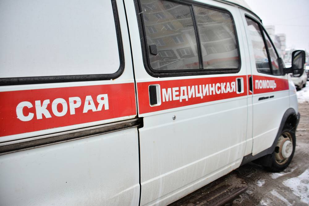 В Пермском крае после столкновения с лосем погиб 59-летний водитель 