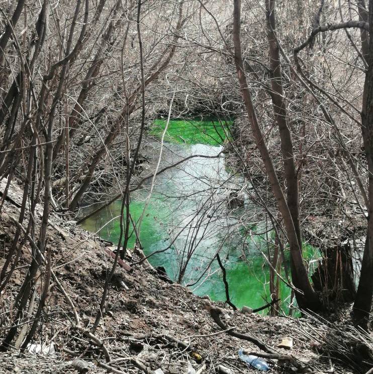 В Перми взяли пробы воды из реки, ставшей ядовито-зеленой