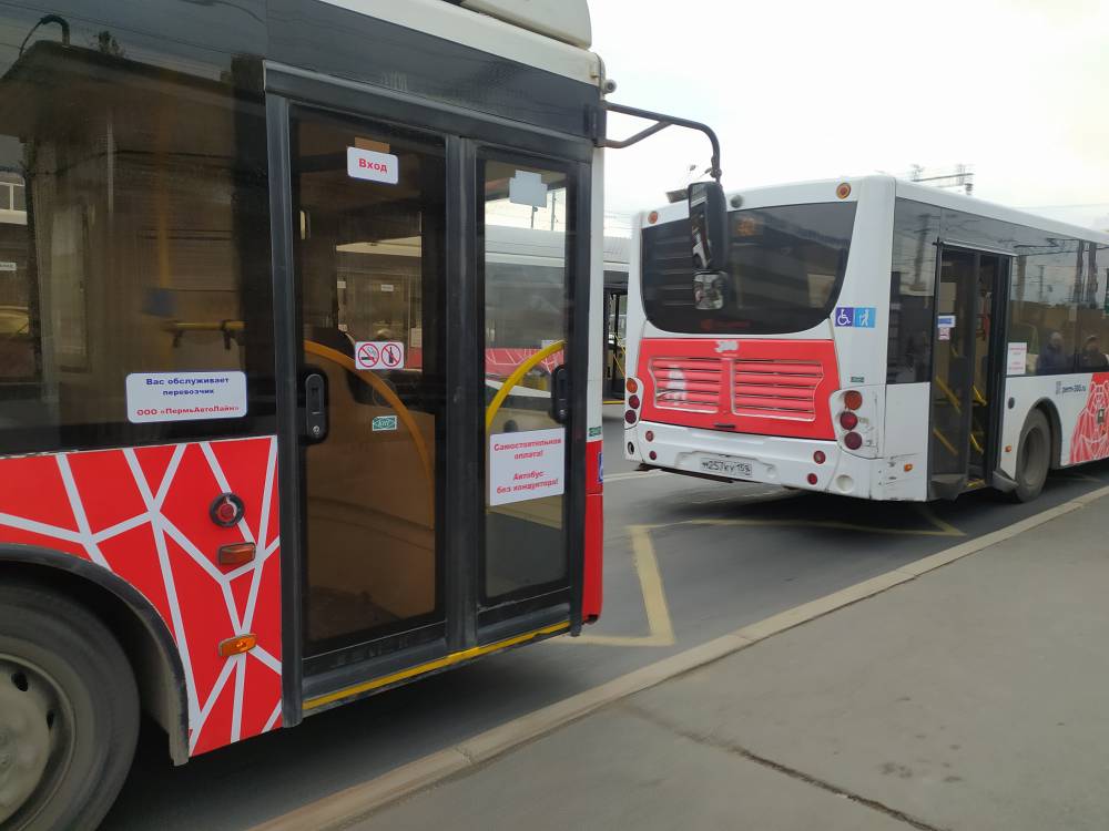 ​Муниципальный перевозчик намерен закупить автобусы с «гармошкой» для участия в конкурсах