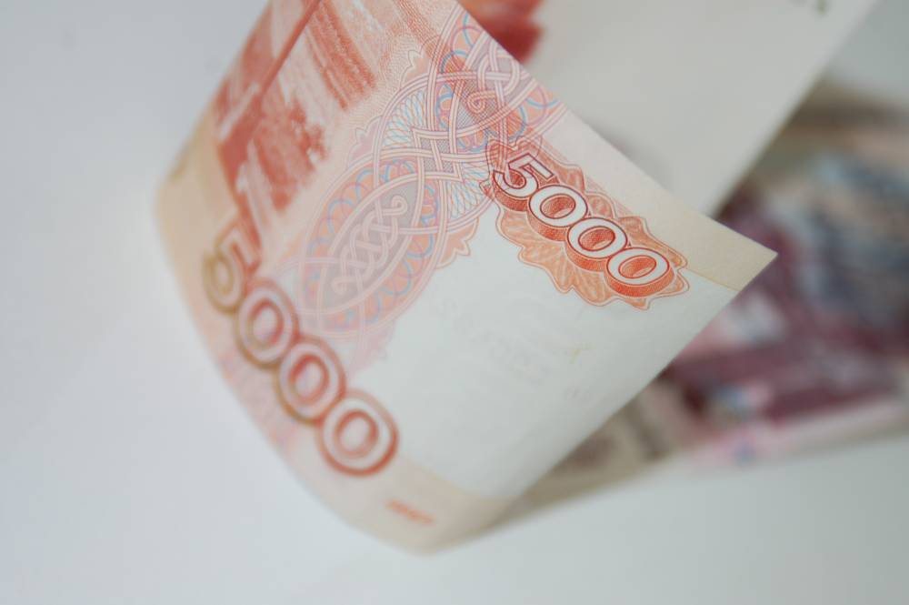 В Пермском крае бизнесмен похитил 1,3 млн рублей из бюджета