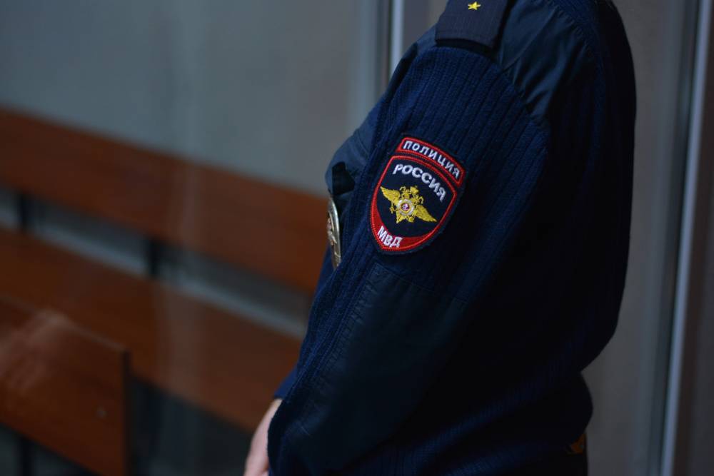 Полиция возбудила дело по факту четырех сибирских лаек в Прикамье