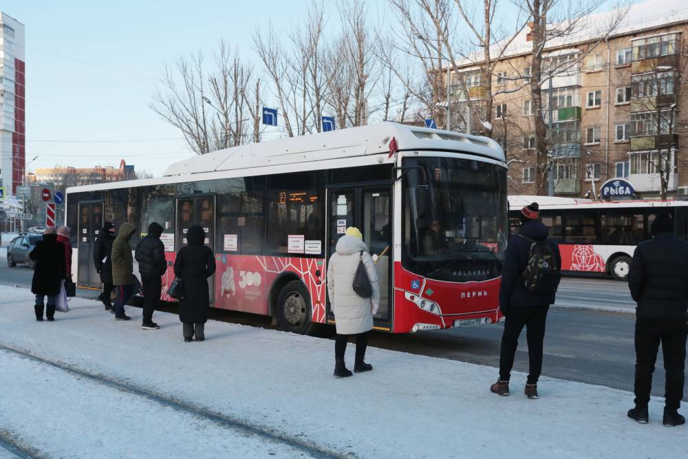 ​В Перми на 7 млн вырос пассажиропоток общественного транспорта