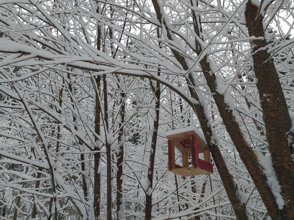 В МЧС предупредили о сильном снеге и метели в Пермском крае