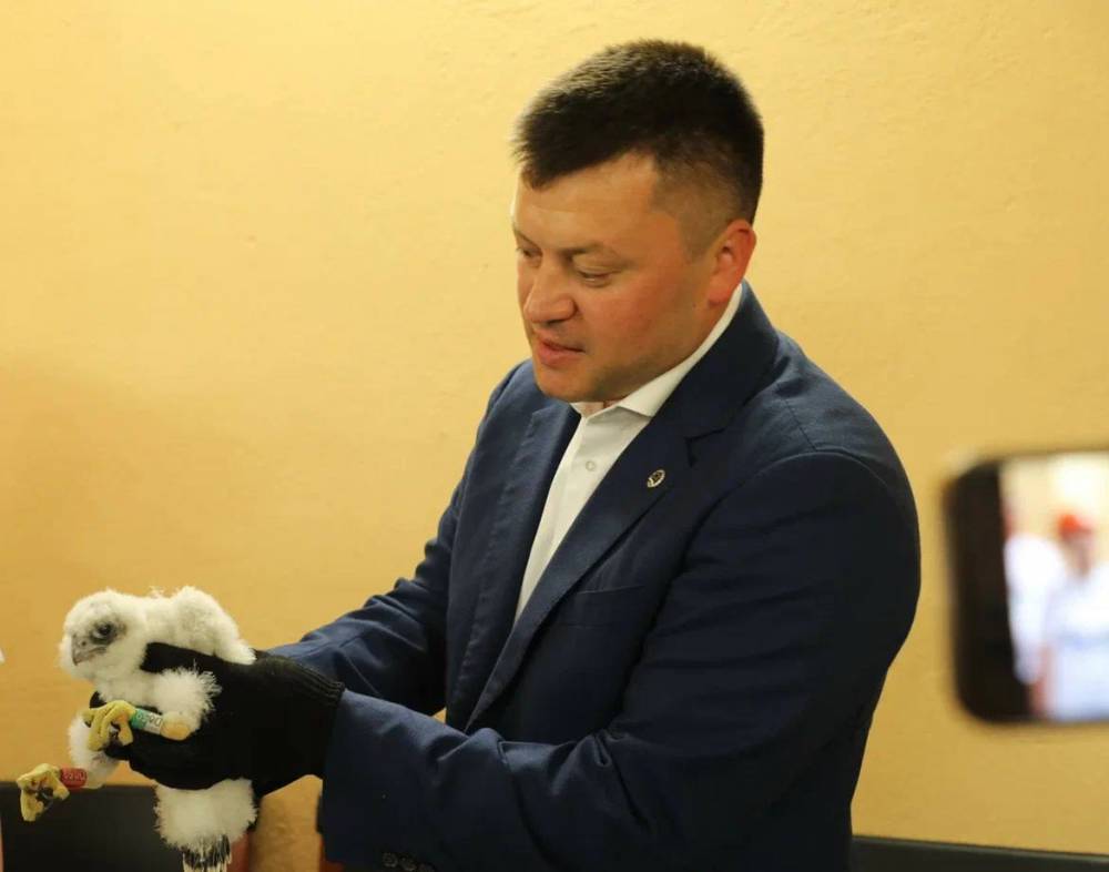 ​Мэр города Уфы дал имя птенцу сапсанов Уралсиба