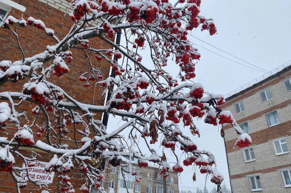 Аномалия нарастает: метеорологи сообщили о второй волне потепления в Пермском крае