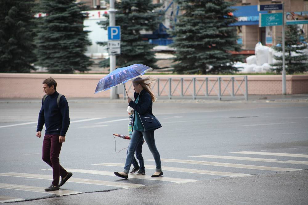 МЧС: на территории Пермского края ожидаются грозы и сильный ветер