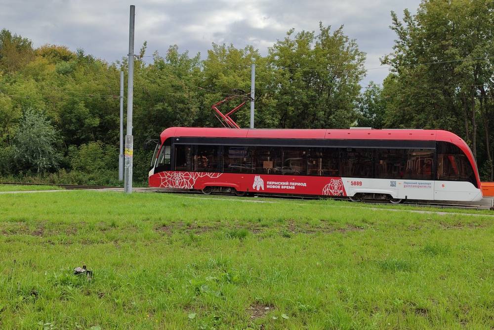 Экономика на колесах. Анализируем транспортную отрасль в деталях